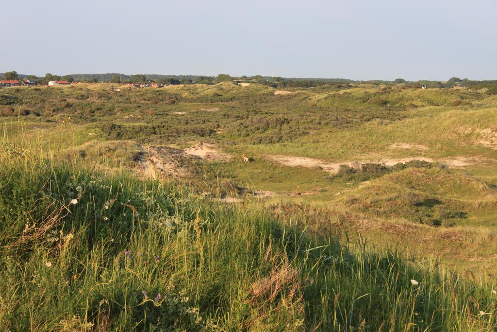 Posthuisje Zandvoort Værelse billede